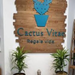 118770570_1631900440320538_4142866978801479316_n