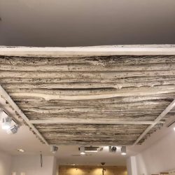 131072750_1727820170728564_7335512134918505302_n