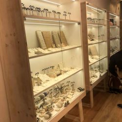 131076500_1727819897395258_4622298843085583232_n