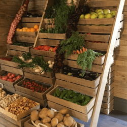 462599252_2783317225178848_5651309376115914495_n