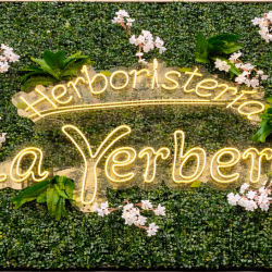 herboristeria la yerbera