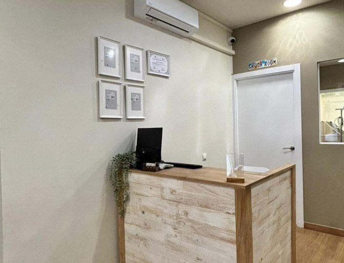 mostrador-de-madera-para-tienda-de-mascotas